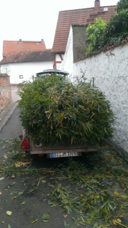 Gartenpflege